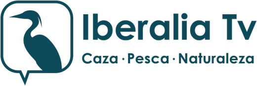 Iberalia TV